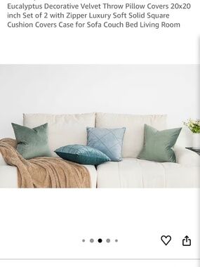 QUAFOO- Eucalyptus Velvet Pillow Covers -set of 2 , 20”x 20”
